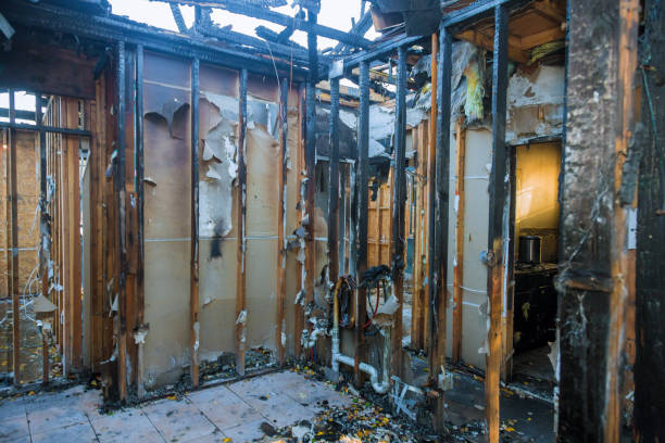 Professional Fire Damage Repair technician working in Burkesville, KY
